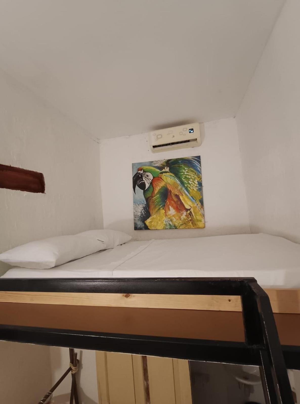 Lotus Central Hotel Santa Marta  Kültér fotó